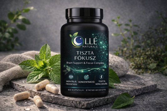 Fókusz és Mentális Támogatás Komplex