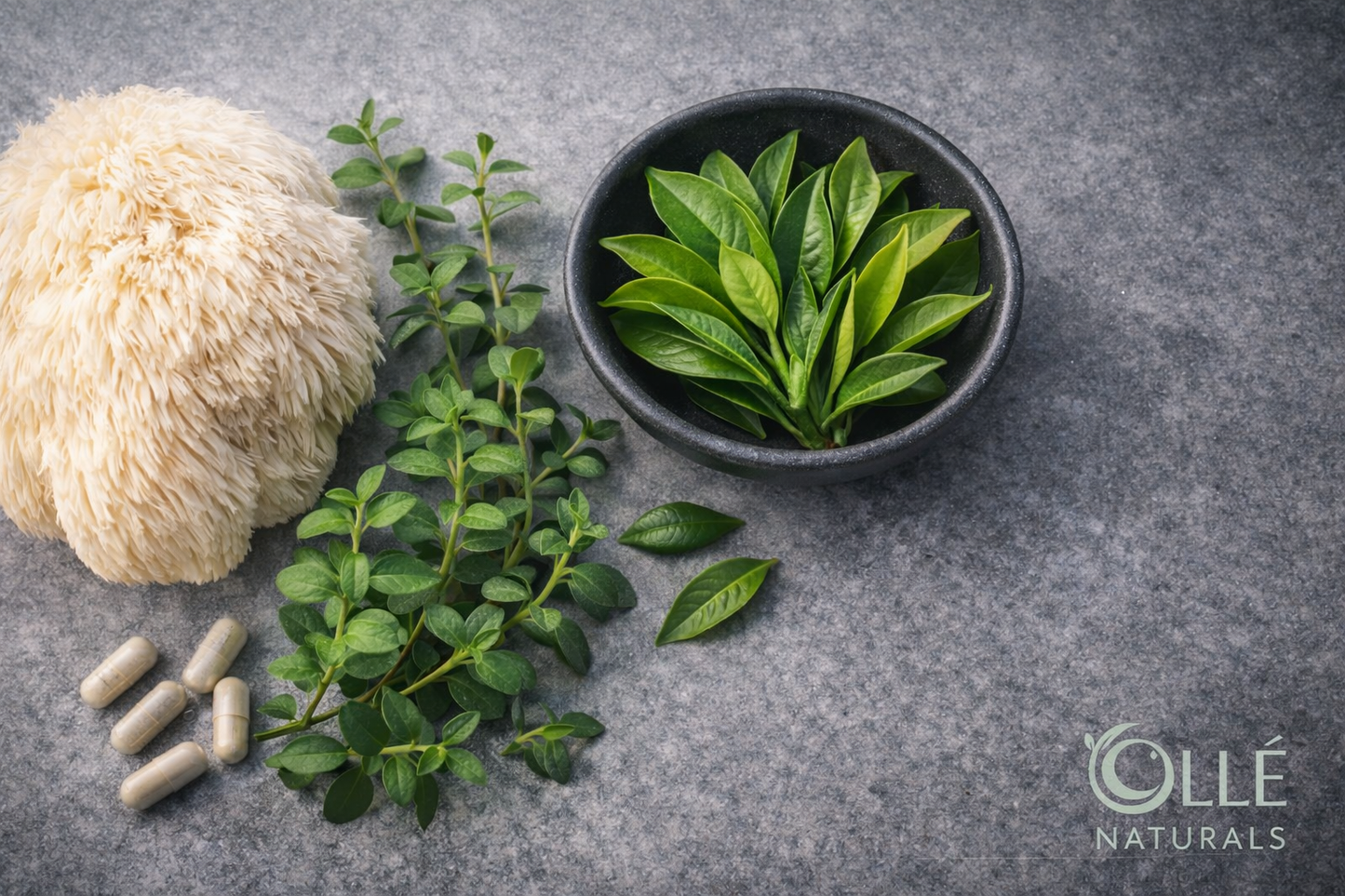 Fókusz és Mentális Támogatás Komplex