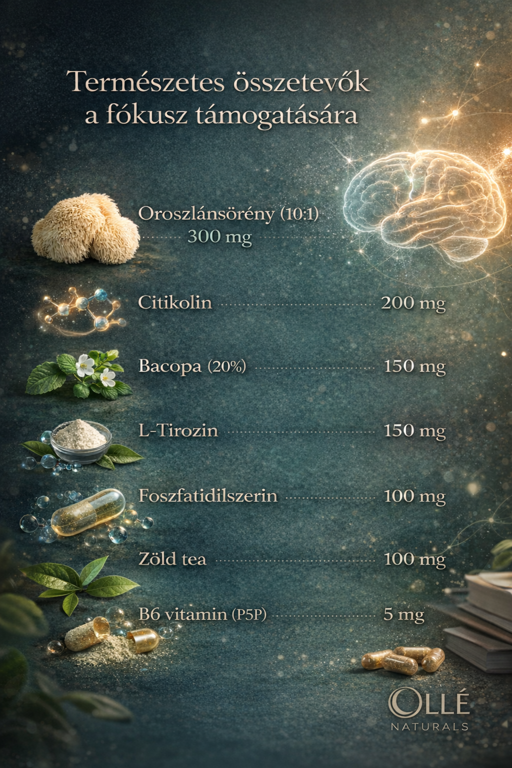 Fókusz és Mentális Támogatás Komplex